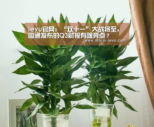 leyu官网：“双十一”大战将至，圆通发布的Q3财报有啥亮点？(图3)